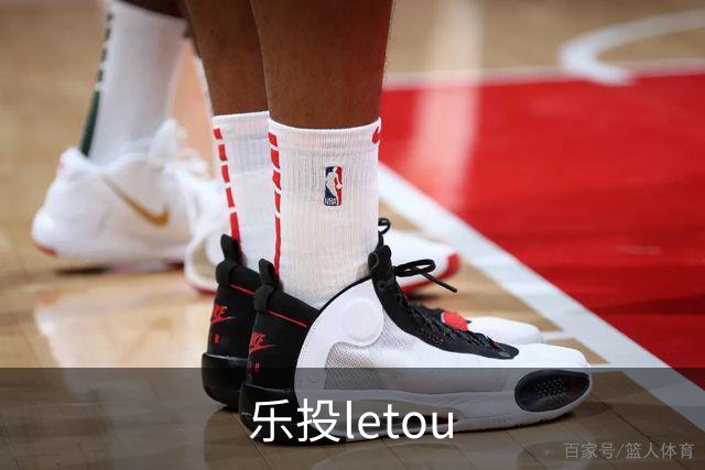 乐投letou公司简介配图